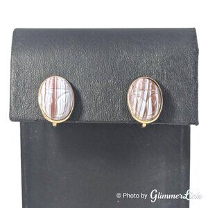 Vintage Resin Scarab Earrings Brown White Swirl Gold Tone Screw Backs